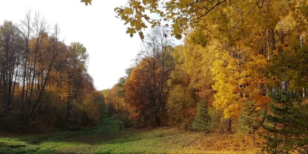 Прогулки по известным местам