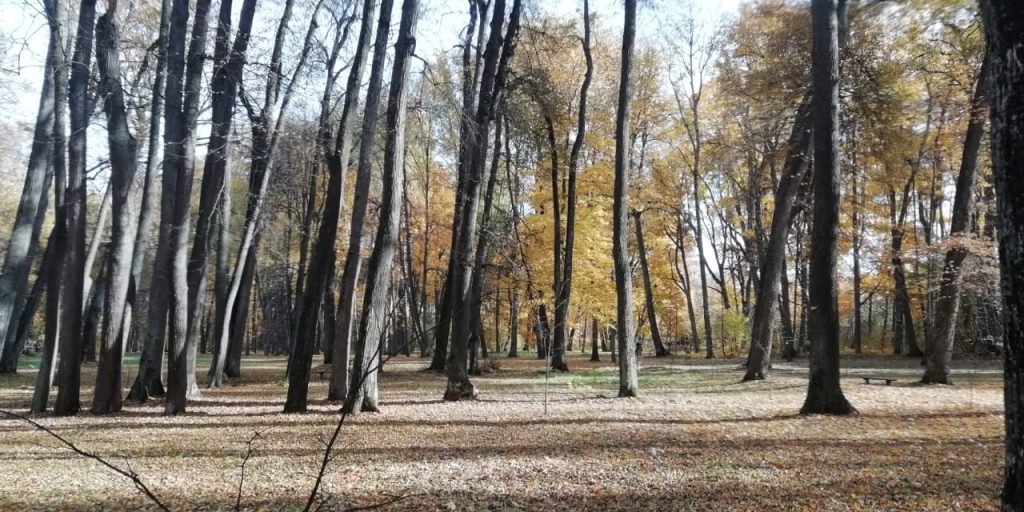 Прогулки по известным местам